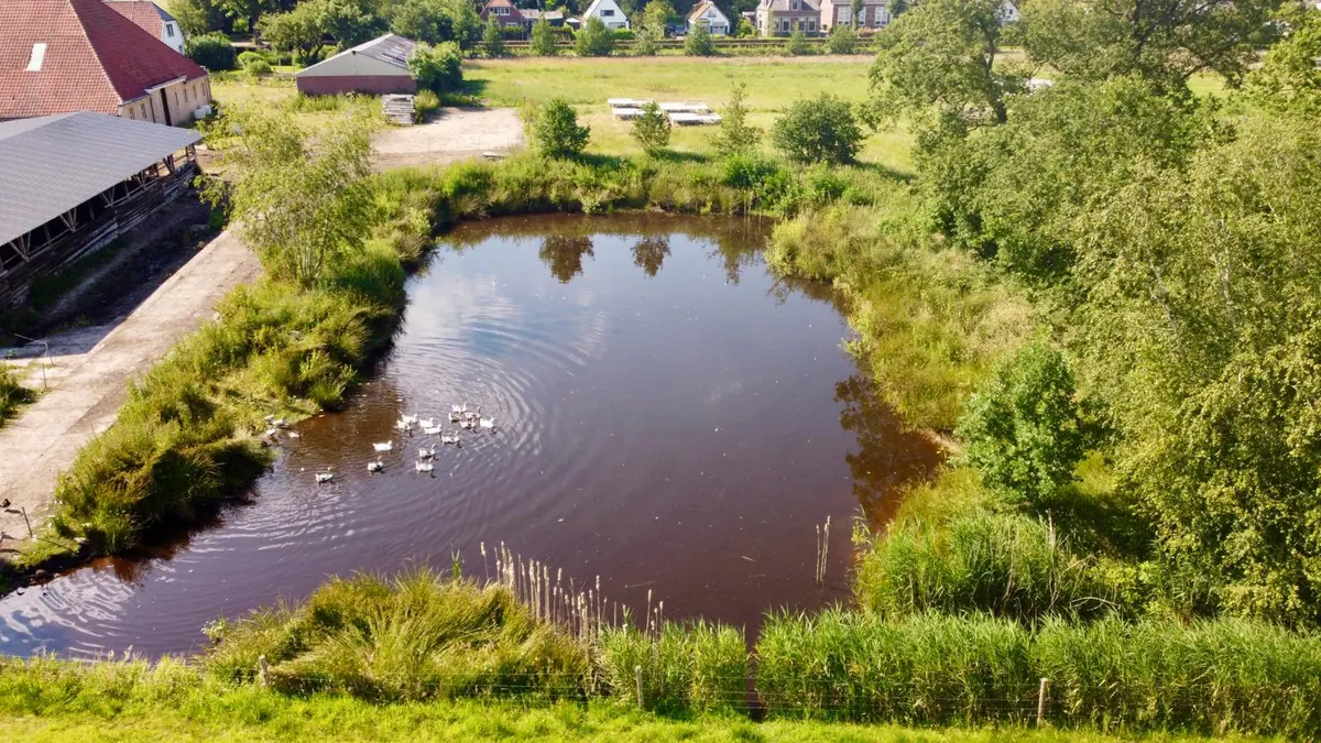 Natuurvijver op het landgoed, aangelegd op de plek van het oude mestbassin